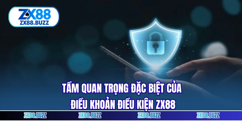 Tầm quan trọng đặc biệt của điều khoản điều kiện ZX88